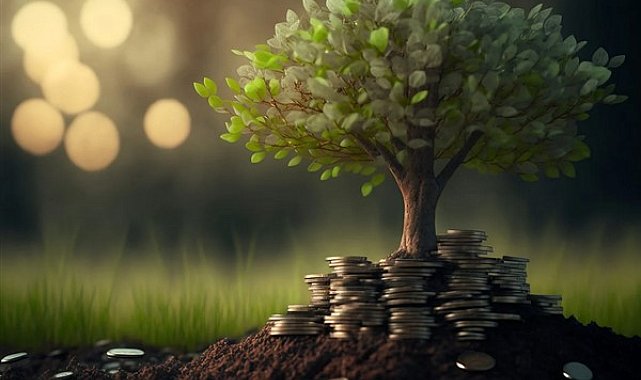 Her 4 kişiden biri tasarruf yapıyor