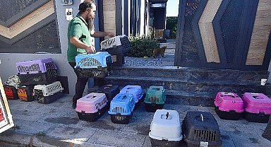 İzmir'de mobil araçla kısırlaştırma hizmeti sürüyor