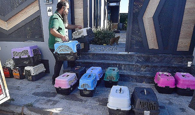 İzmir'de mobil araçla kısırlaştırma hizmeti sürüyor