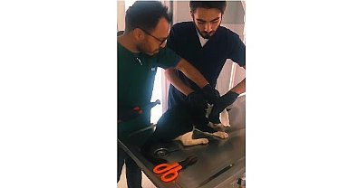 Kartepe'de kedi pimaş parçasından kurtuldu
