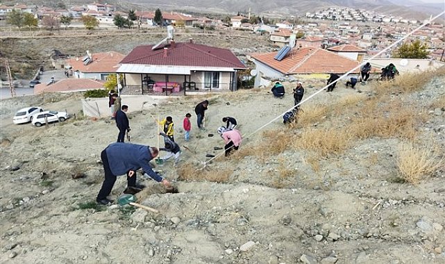 Kayseri Büyükşehir, ağaçlandırma çalışmasına Yeşilhisar ile devam etti