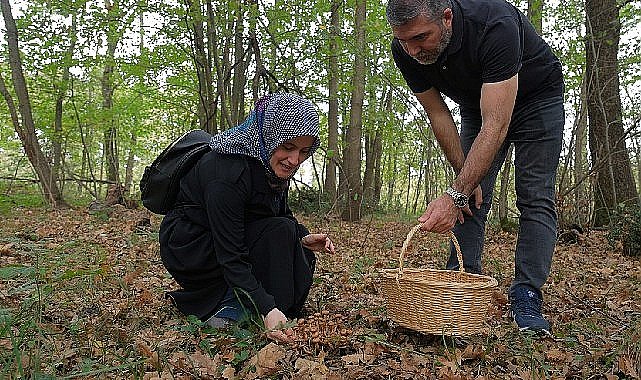 Kocaeli'nde Ormanya'da mantar avı düzenlendi