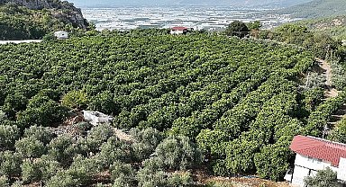 Kumlucalı üreticiler kapalı devre sulama tesisinden memnun