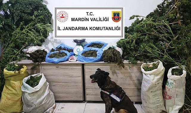 Manav değil uyuşturucu satıcısı