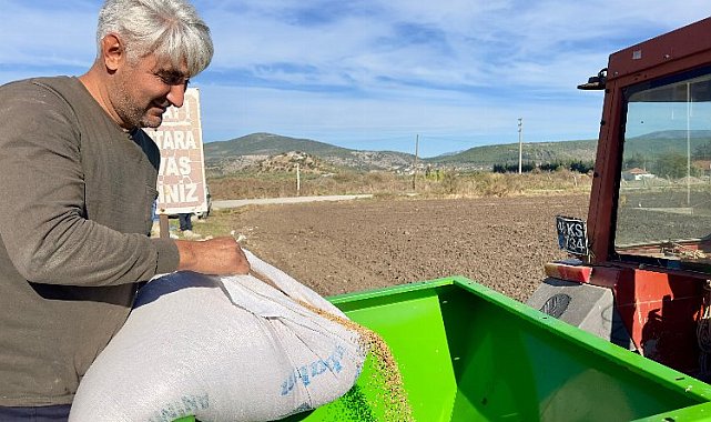 Milas'ta ata tohumları toprakla buluştu