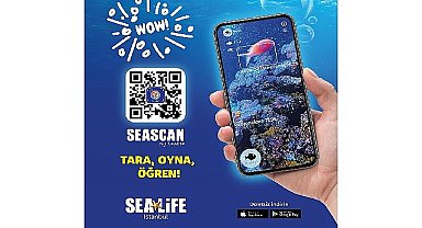 Okyanusun gizemli dünyası parmaklarımızın ucunda !
