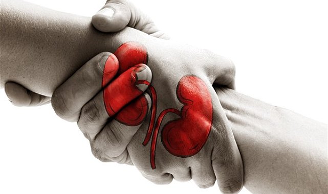 Organ bağışı hakkında merak edilenler