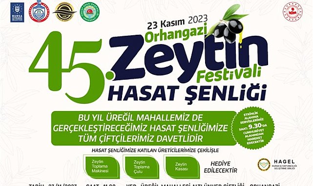 Orhangazi'de 45’inci ‘Zeytin Hasat Şenliği’ başlıyor