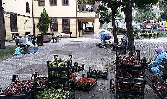 -Osmangazi Belediyesi ilçeyi çiçek bahçesine çeviriyor