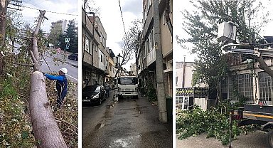Osmangazi'de lodos mesaisi
