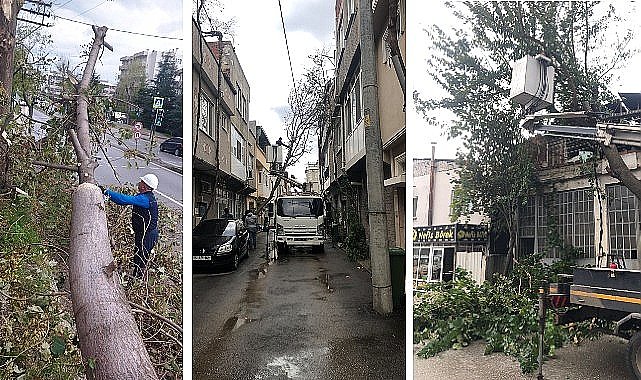 Osmangazi'de lodos mesaisi