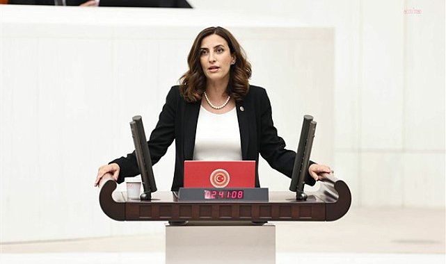Rızvanoğlu: “Hükümetin öncelikle çevre konusuna bakış açısını değiştirmesi gerekli”