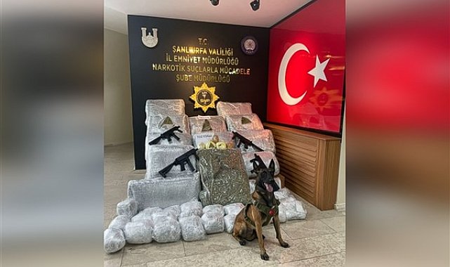 Şanlıurfa'da 170 kilo 700 gram skunk ele geçirildi