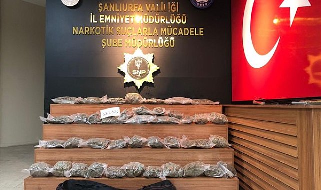 Şanlıurfa’da 32 kilo 250 gram skunk ele geçirildi