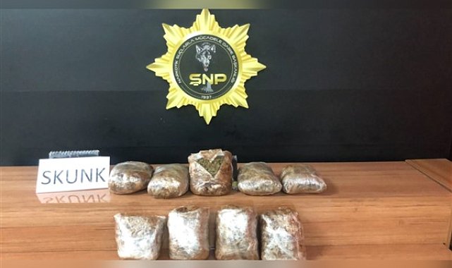 Şanlıurfa'da 4 kilo 400 gram skunk maddesi ele geçirildi