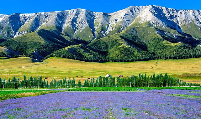 Xinjiang’ın ziyaret eden 213 milyon turist, 233 milyar yuan harcadı