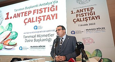 Antalya'dan Antep fıstığı üretimi hamlesi