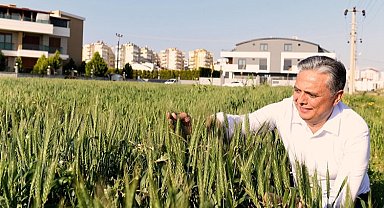 Antalya Muratpaşa Gıda Politika Rehberi geliyor