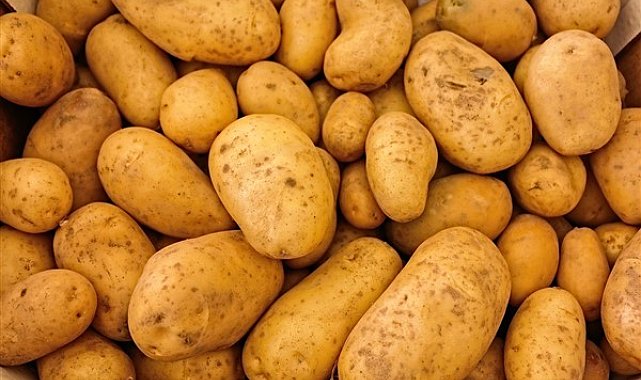 Atakey Patates ihale sözleşmesi imzaladı