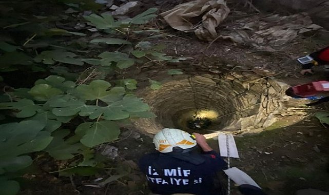 Bir aydır kayıp olan Pamuk’u İzmir İtfaiyesi sahibine kavuşturdu