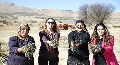 Büyükşehir'den Finike'ye soğuk hava deposu