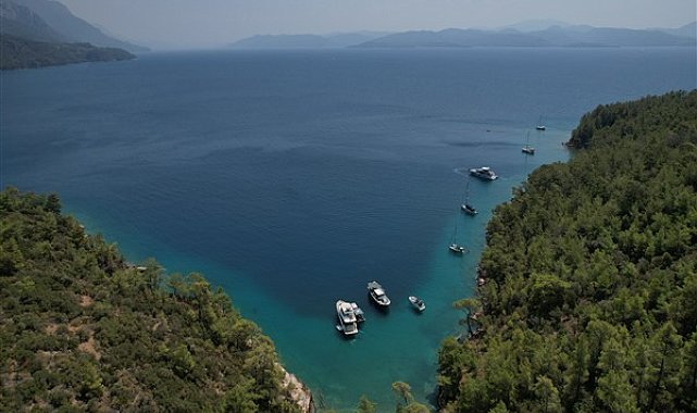 Büyükşehirden doğayı korumak için 189 dava