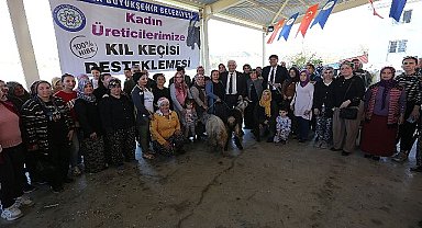 Büyükşehirden Seydikemer'li Kadın Üreticilere Kıl Keçesi Desteği