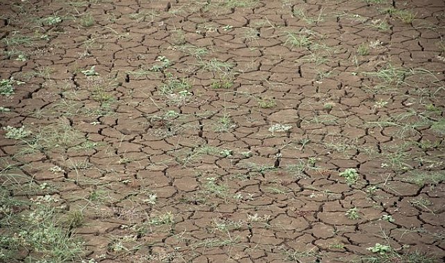 DSÖ: “2050’de iklim krizi nedeniyle yaklaşık 250 bin ek ölüm görebiliriz”