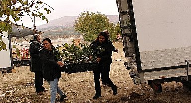Elmalı'da 1300 aronya fidanı dağıtıldı 