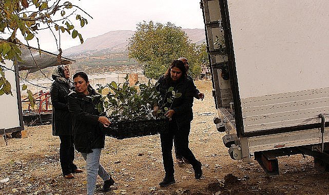 Elmalı'da 1300 aronya fidanı dağıtıldı