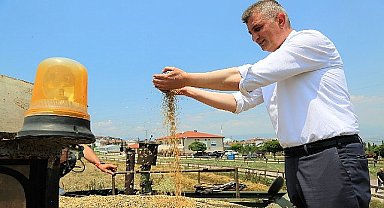 Gölcük belediyesi sosyal hizmet tarlasında bu kez yem bitkisi yetişecek 
