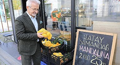 Hataylı üreticiye umut veren destek 