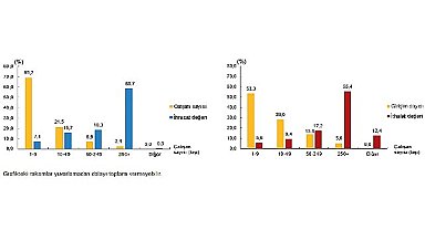 Hizmet ihracatının yüzde 58,7'sini, hizmet ithalatının yüzde 55,4'ünü büyük ölçekli girişimler yaptı