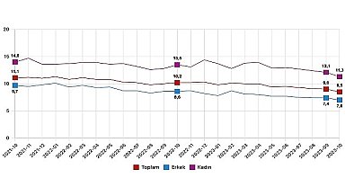 İşgücü İstatistikleri, Ekim 2023