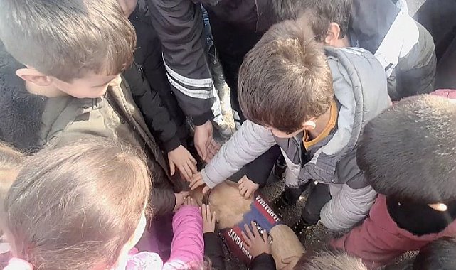 Jandarma köpeği 'Yazgan' çocukların kahramanı oldu