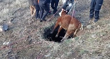 Kayseri itfaiyesinden buzağı operasyonu