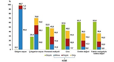 Küçük ve Orta Büyüklükteki Girişim İstatistikleri, 2022