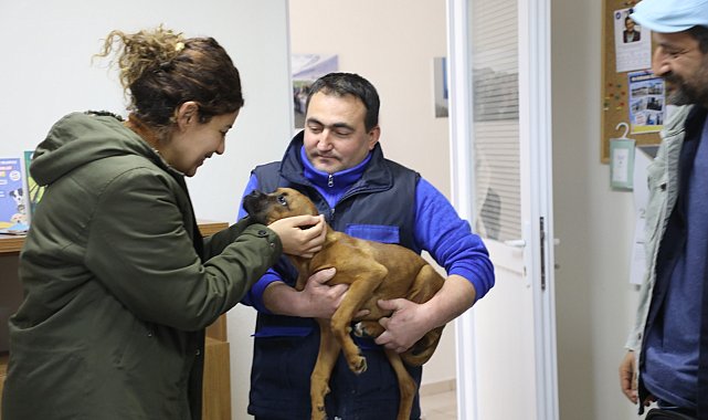 Muğla, 3 bin 83 candostu sahiplendirdi