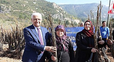 Muğla Büyükşehir'den Üreticilere 151 Bin 780 Fidan Desteği