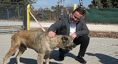 Mustafakemalpaşa hayvan barınağı 5 yılda binlerce cana yuva oldu 