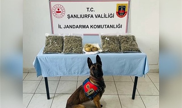 Şanlıurfa şok yol uygulamasında 3 şüpheli gözaltına alındı