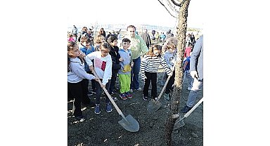 Seferihisar'da şehitlerin anısına ağaç dikildi