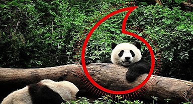 Vodafone ve WWF'ten “Gezegen İçin Bir Milyon Telefon