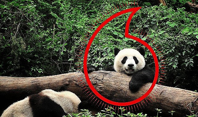 Vodafone ve WWF'ten “Gezegen İçin Bir Milyon Telefon