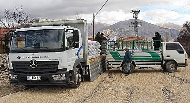 Antalya Büyükşehir Belediyesi'nin süt yemi desteği sürüyor