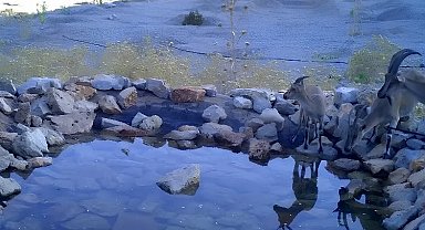 Antalya'daki üretim sahasını yeniden doğaya kazandırıyor