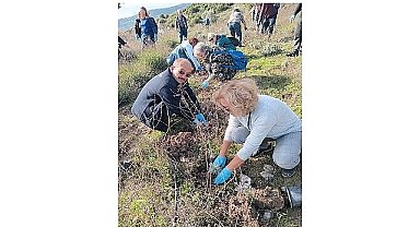 Bornova Belediyesi'nden arıcılara lavanta desteği