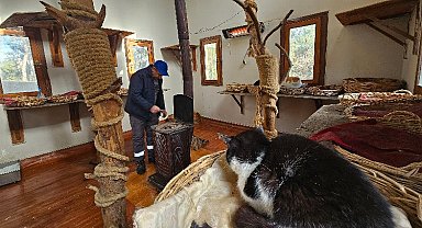 Bursa Osmangazi'de engelli kedilerin soba keyfi