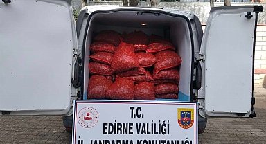 Edirne'de 1 ton kaçak kum midyesi!