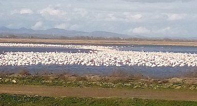 İpsala'da görsel şölen